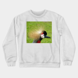 Crowned crane bird Crewneck Sweatshirt